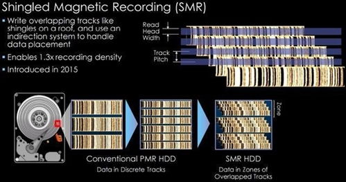 香港正版308免费资料|精选解释解析落实_创新版Hdd.3.770